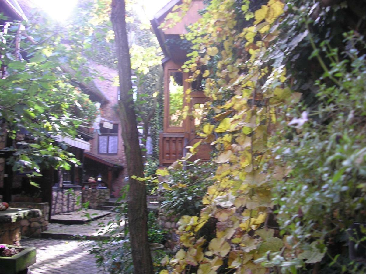 Gite Le Riesling Bergheim Exterior photo